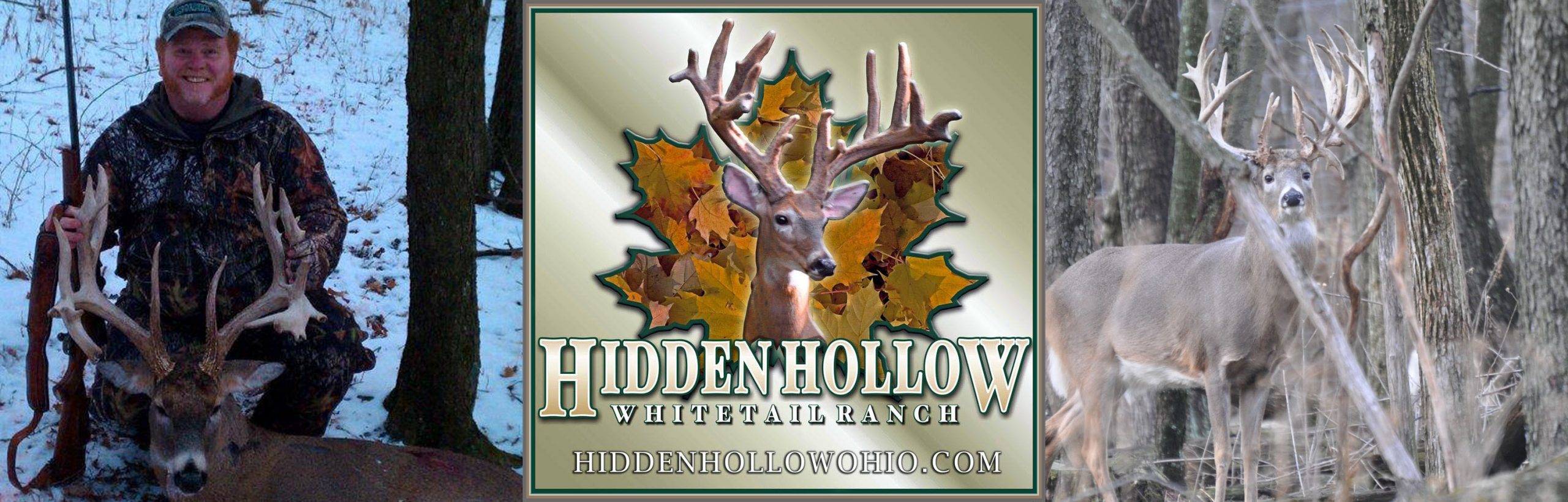 hidden hollow whitetail header -- guided whitetail hunts ohio